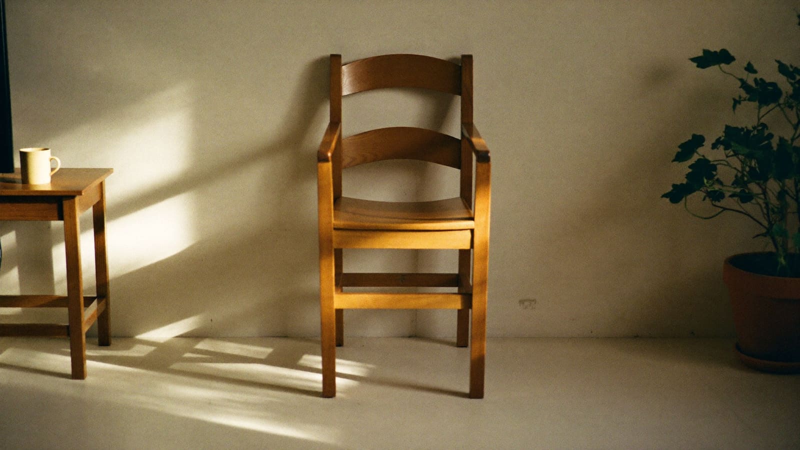 A single sturdy timber dining chair standing in a clear sunlit space, the chair a strength programme starts from.
