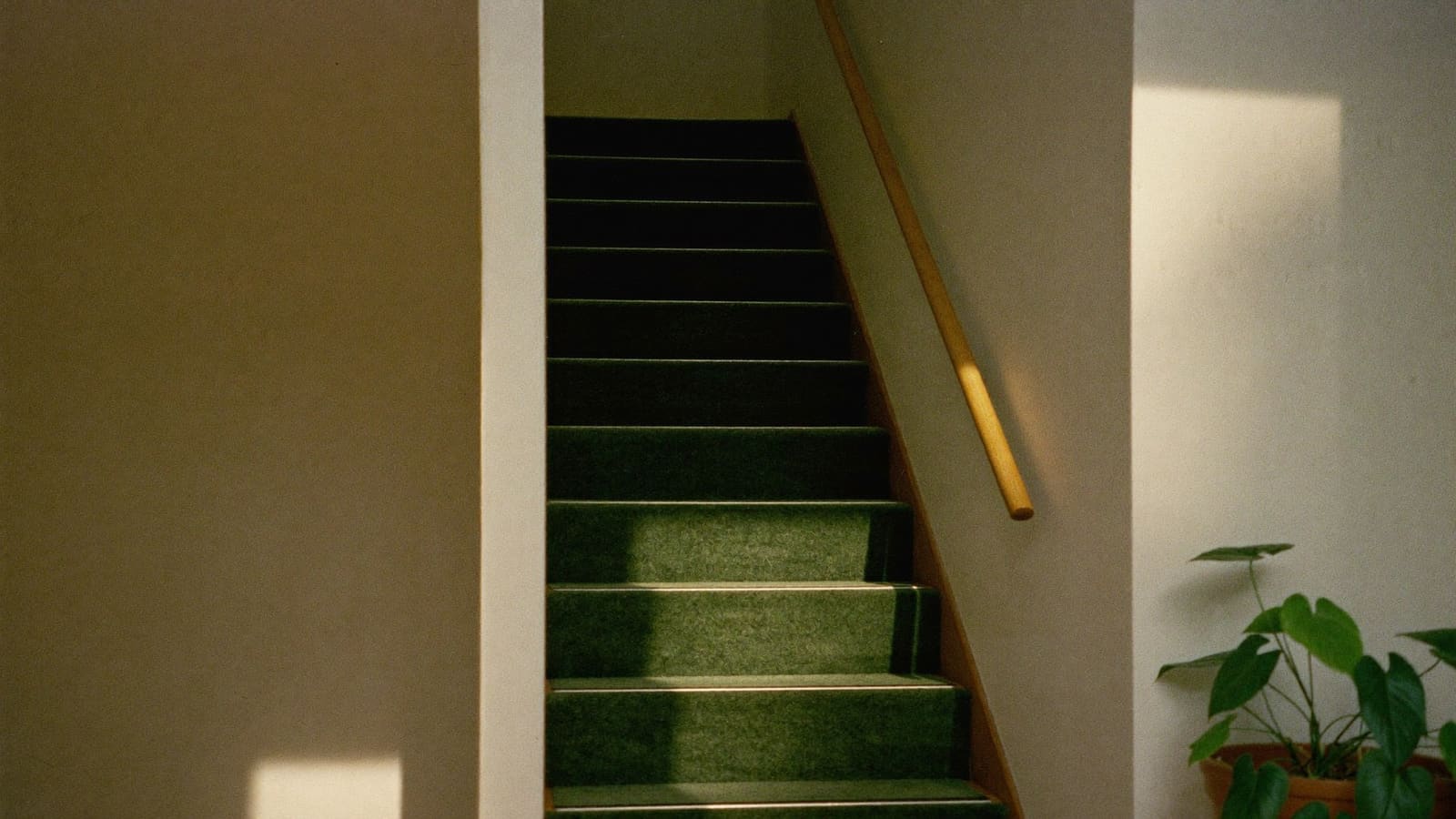 An ordinary domestic staircase with a single timber handrail and clear carpeted treads.