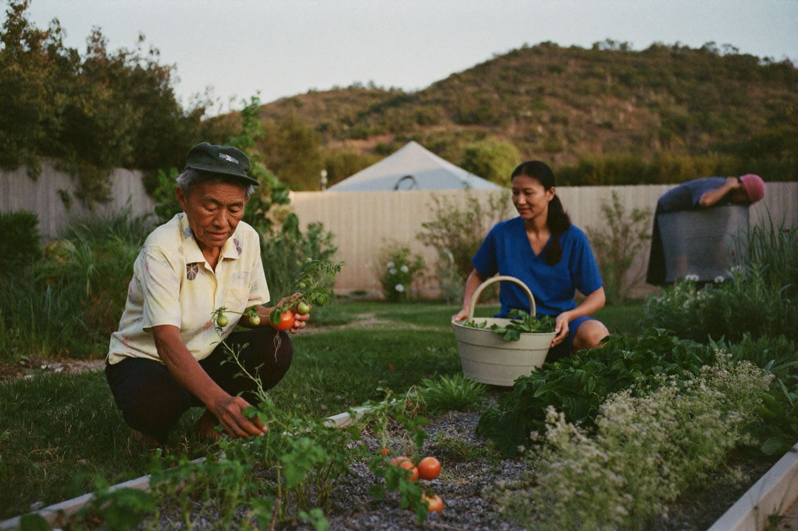 An older woman tending her backyard vegetable garden while her carer kneels beside her with a basket.
