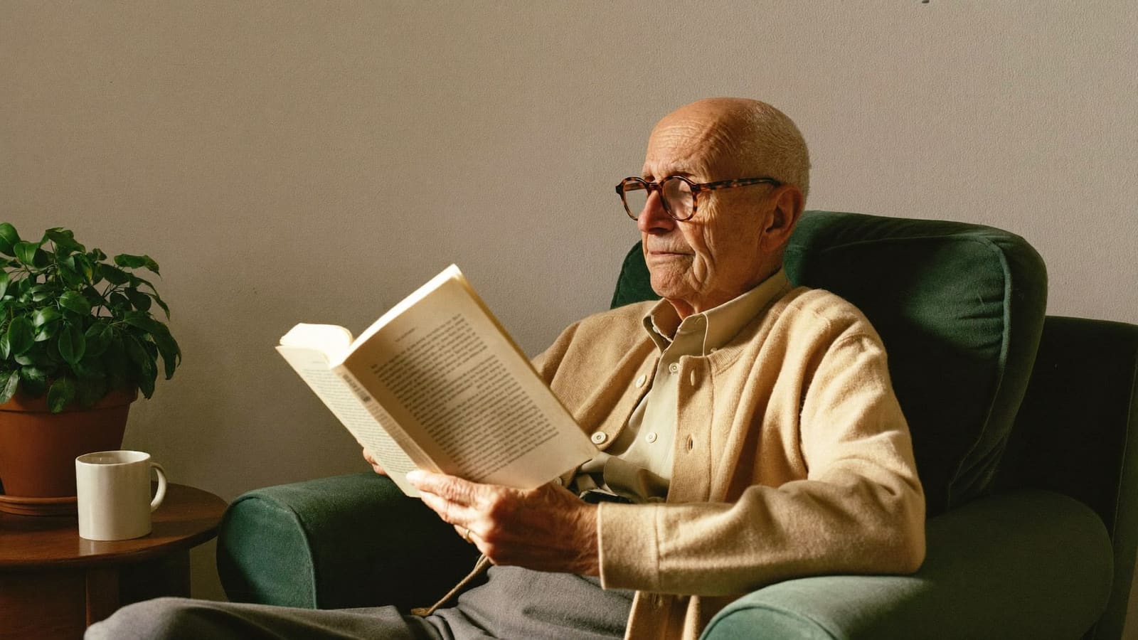 An older man reading a book in his armchair with reading glasses on, absorbed in the page.
