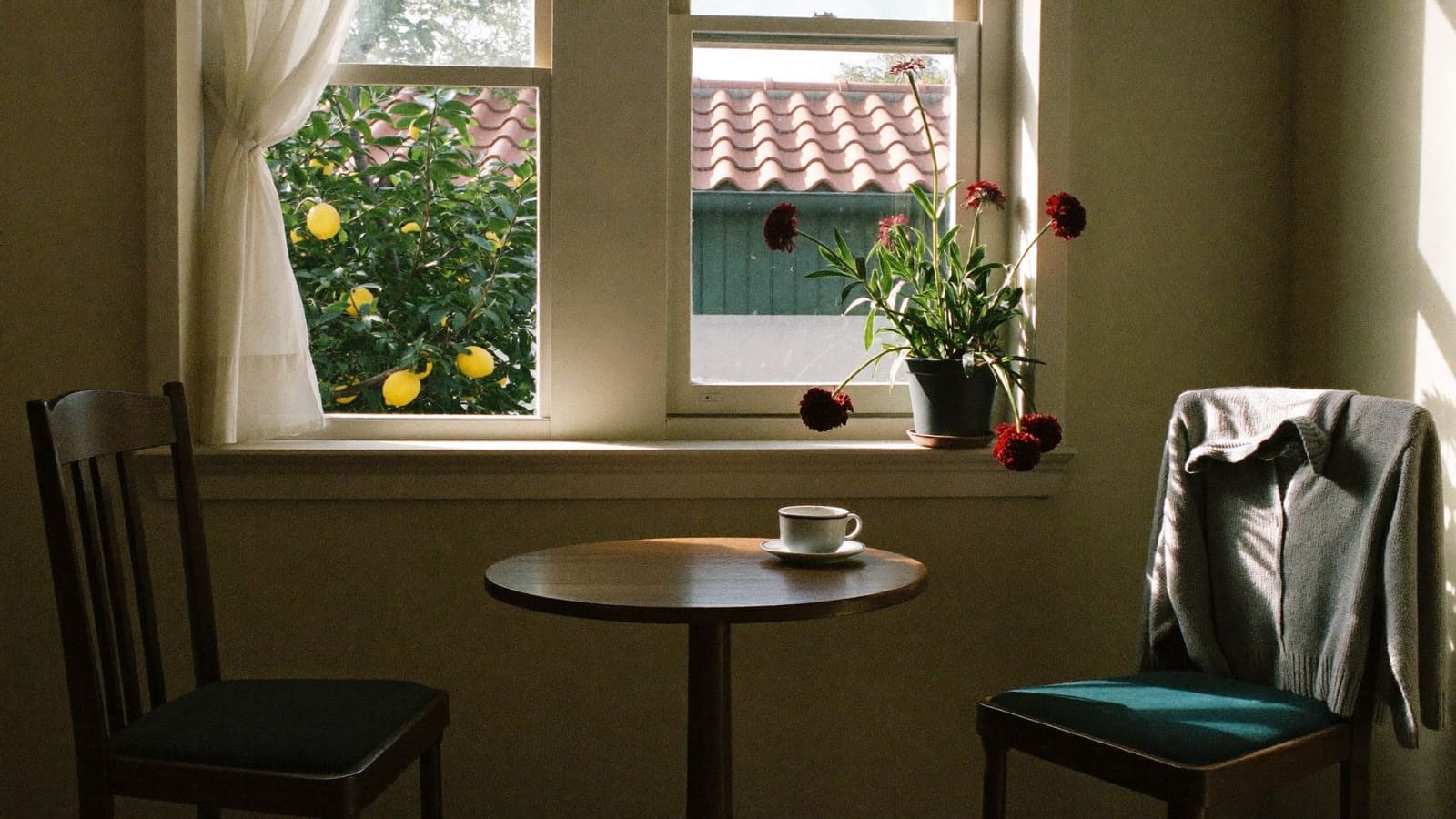A small round timber table in a sunlit room with one cup of tea, two chairs, and a grey knitted cardigan folded over the back of the empty chair, a lemon tree outside the window.
